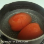 homemade pizza sauce (3)