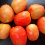 tomato_chutney (1)